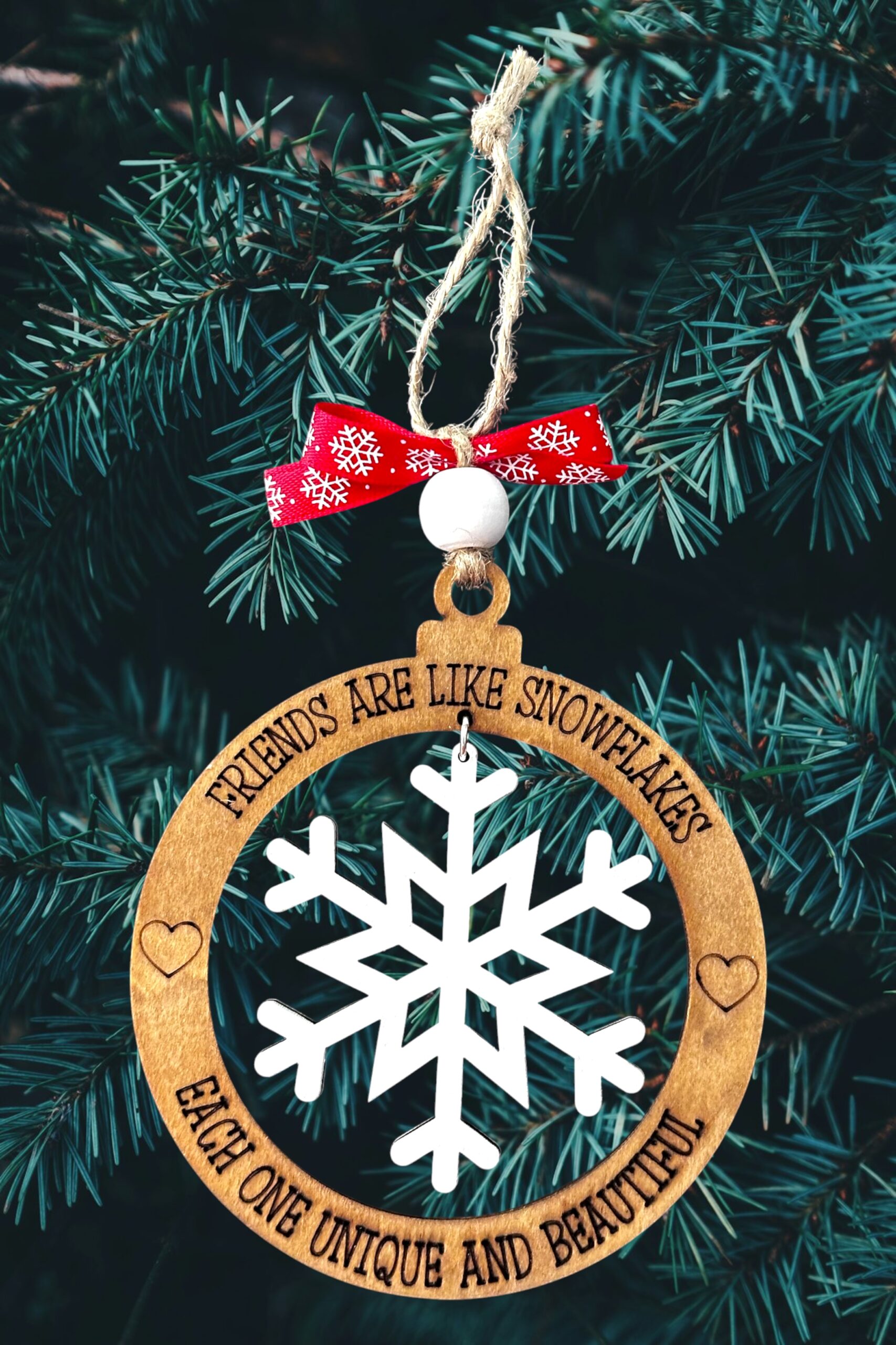 Friends Like Snowflakes